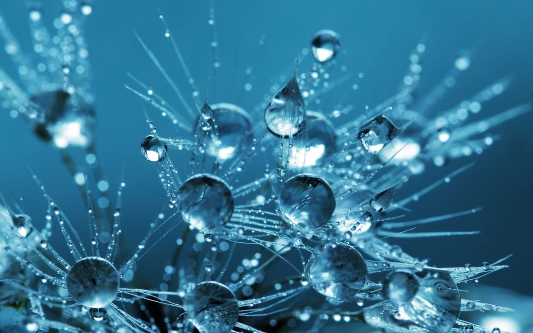 avances cientificos