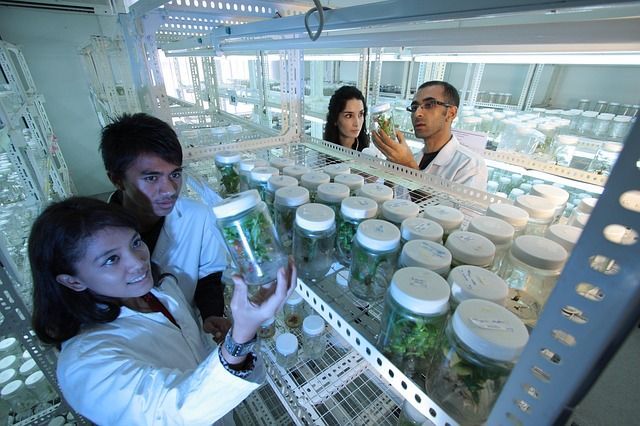 curiosidades cientificas